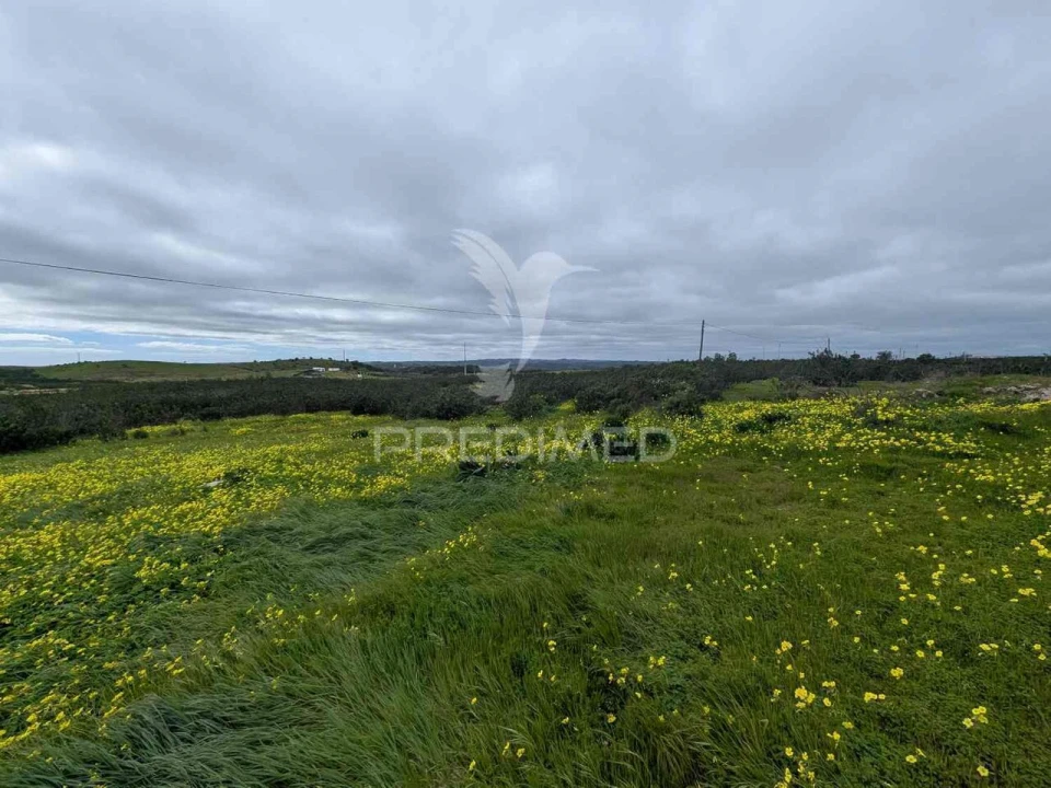 Terreno para Venda em Azinhal Foto 21