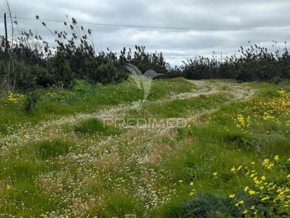 Terreno para Venda em Azinhal Foto 31