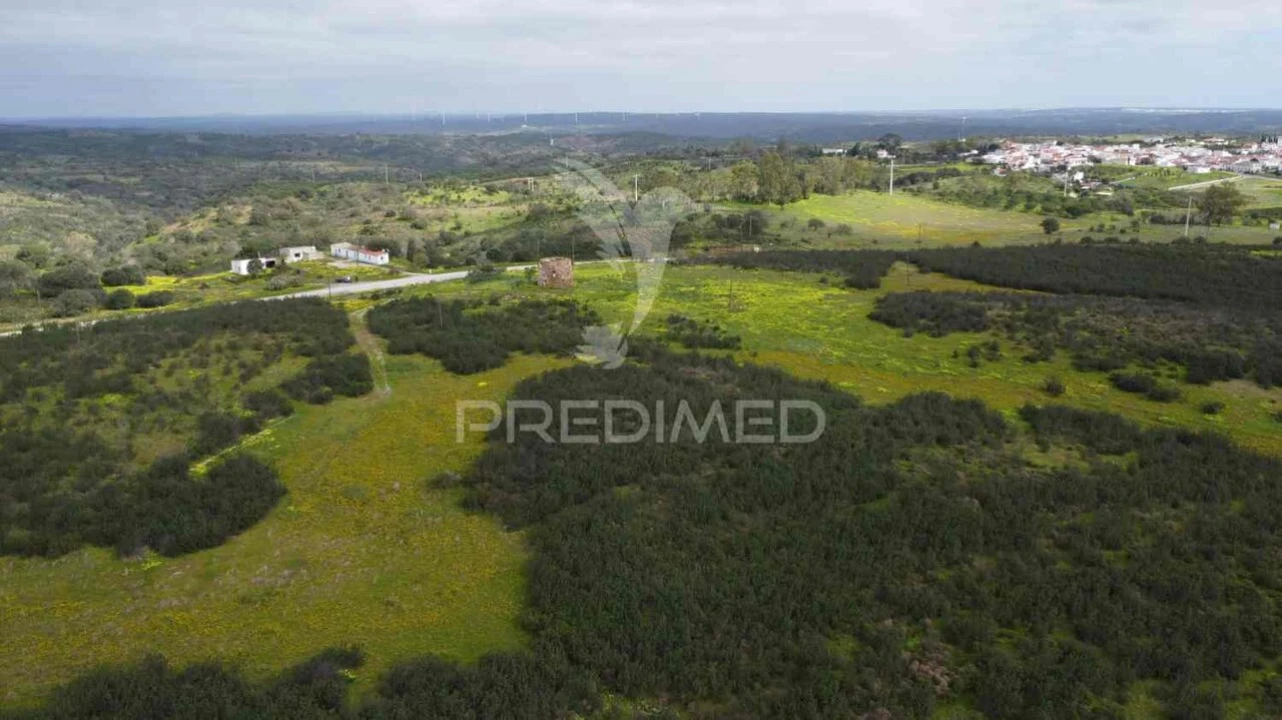 Terreno para Venda em Azinhal Foto 5