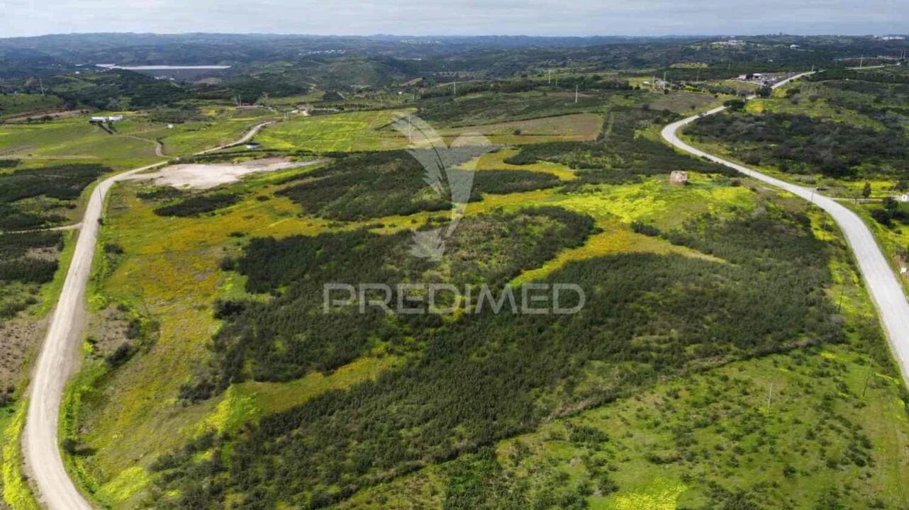 Terreno para Venda em Azinhal Foto 9