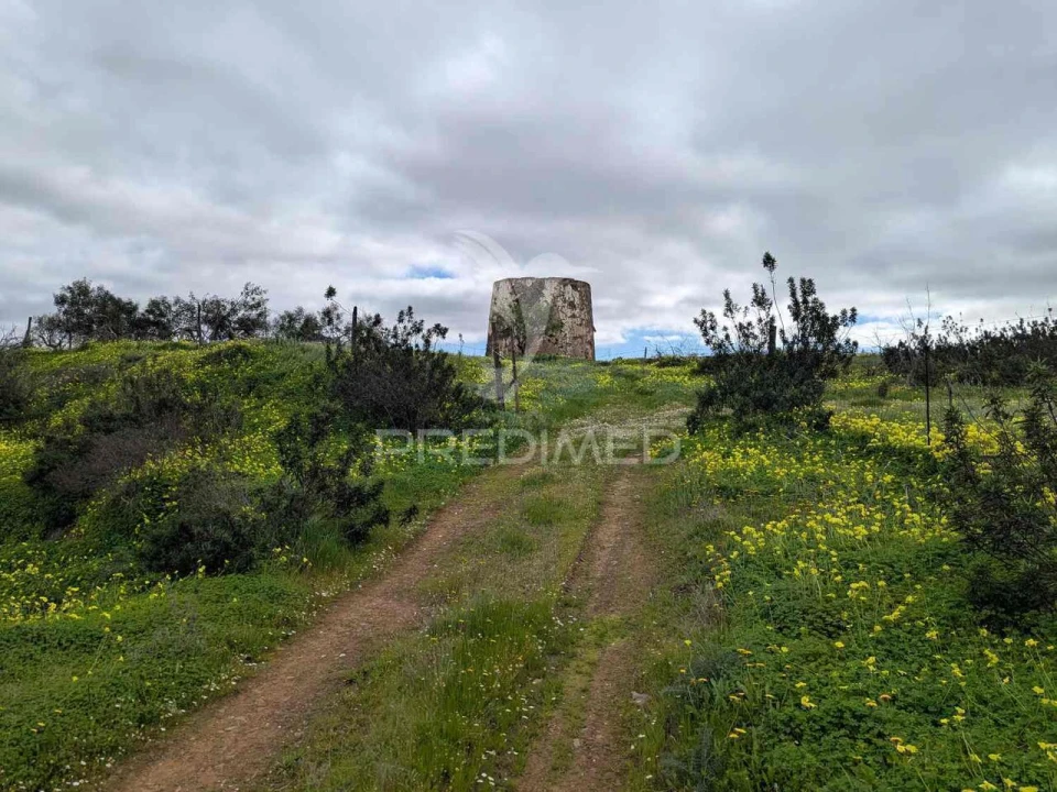 Terreno para Venda em Azinhal Foto 32