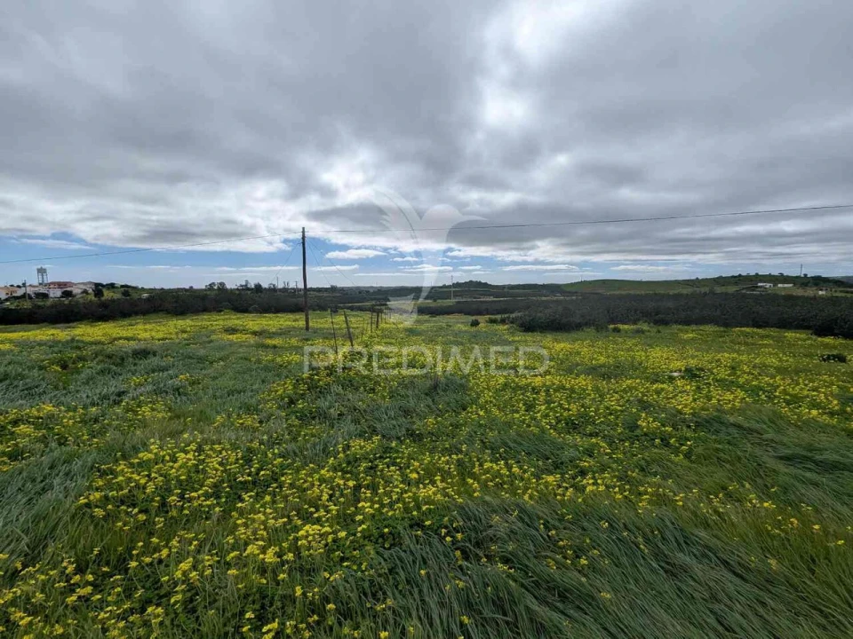 Terreno para Venda em Azinhal Foto 23