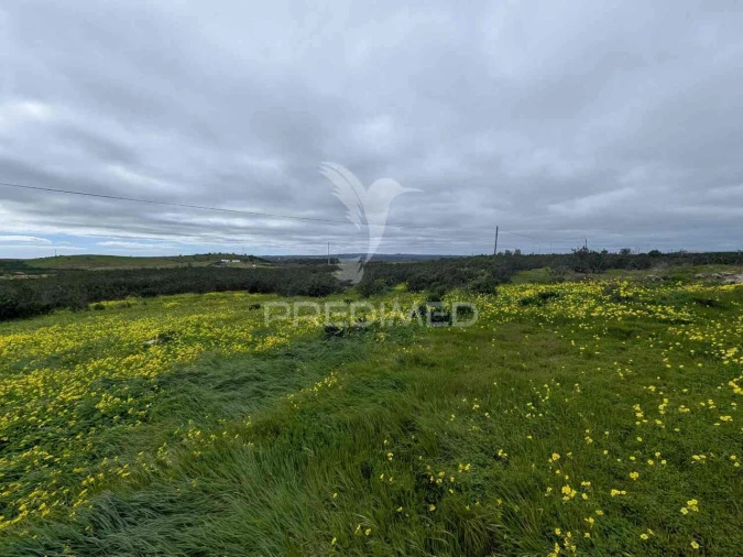 Terreno para Venda em Azinhal Foto 21