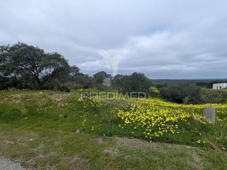 Terreno para Venda em Azinhal Foto 5