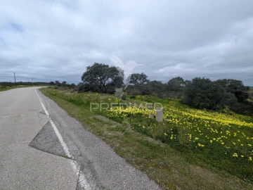 Terreno para Venda em Azinhal