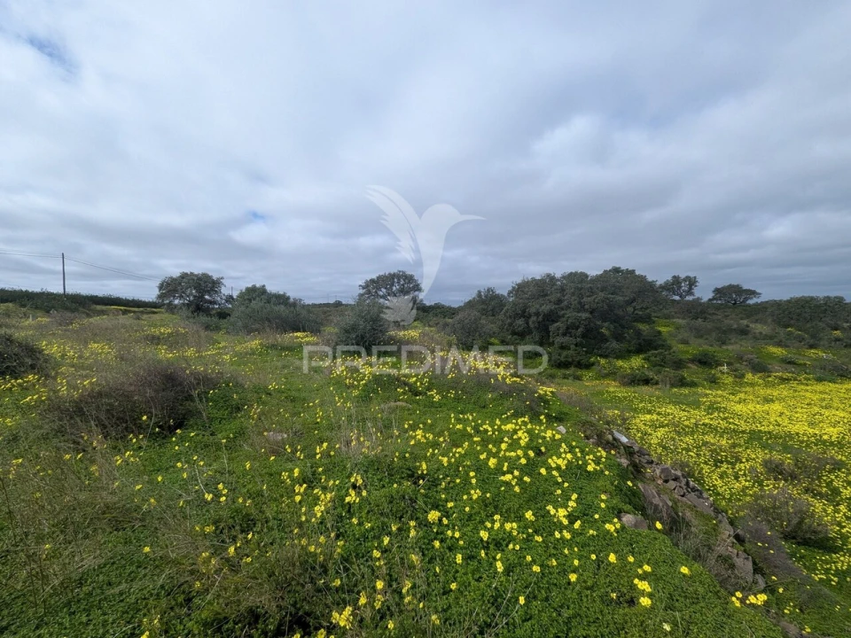 Terreno para Venda em Azinhal Foto 3