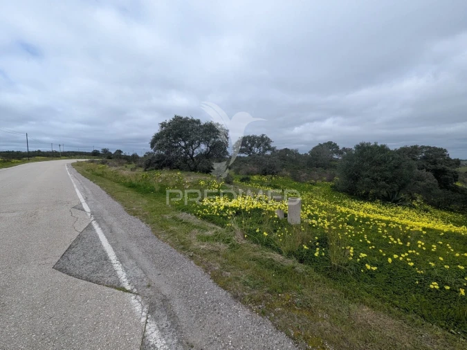 Terreno para Venda em Azinhal Foto 4