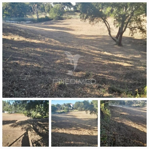 Terreno para Venda em Rio Maior Foto 1