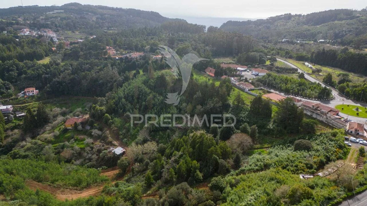 Terreno para Venda em Santo Antonio da Serra Foto 7