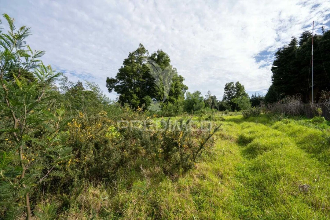 Terreno para Venda em Santo Antonio da Serra Foto 26