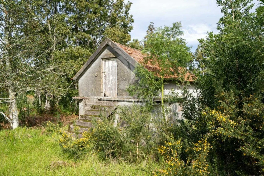 Terreno para Venda em Santo Antonio da Serra Foto 28