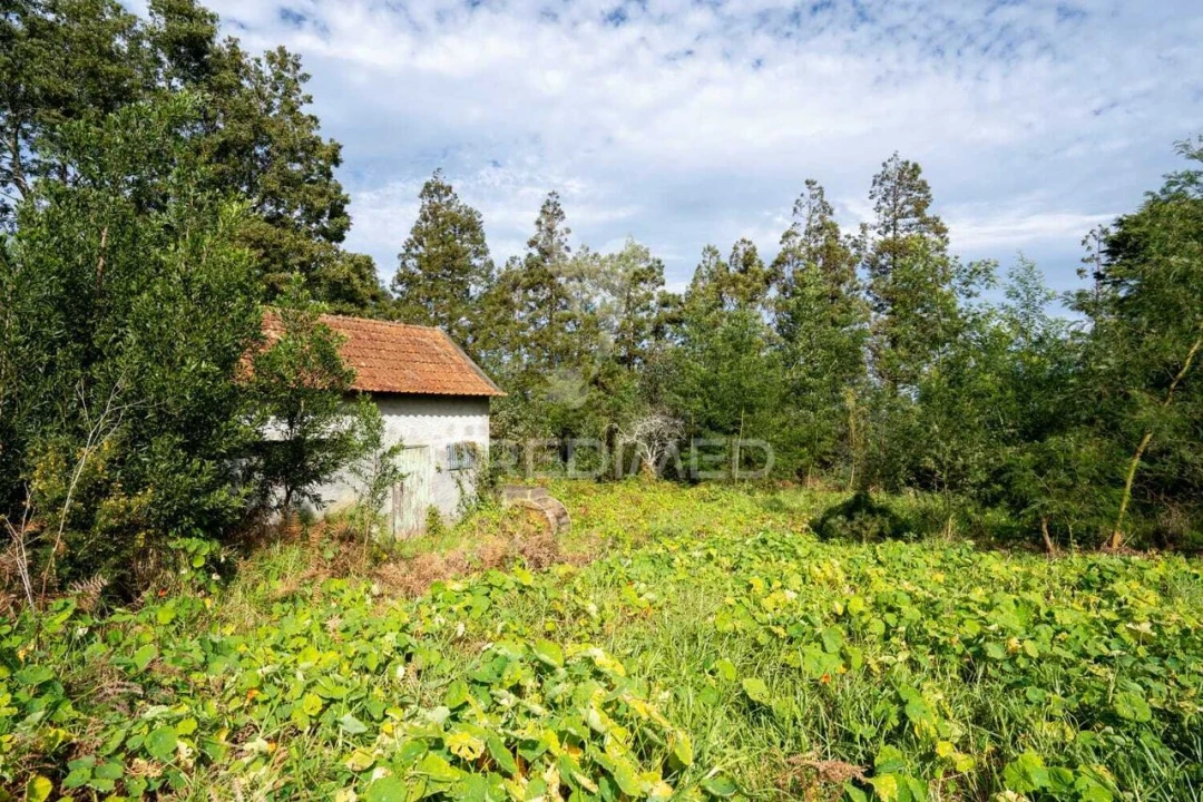 Terreno para Venda em Santo Antonio da Serra Foto 27