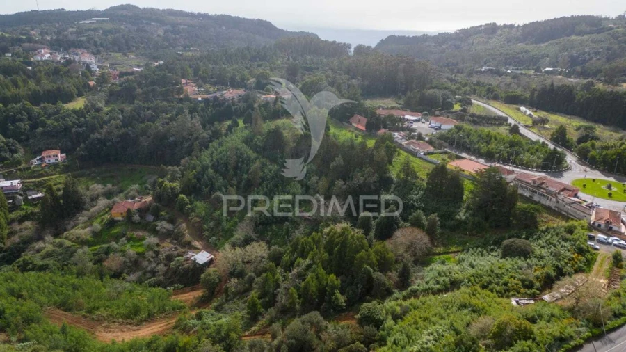 Terreno para Venda em Santo Antonio da Serra Foto 7