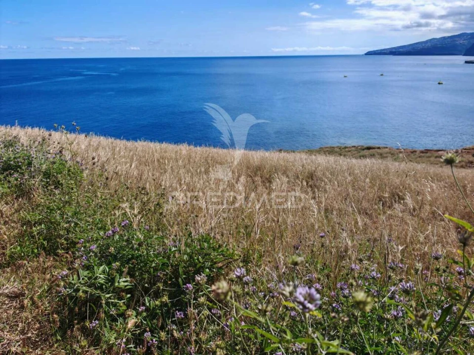 Terreno para Venda em Caniçal Foto 4