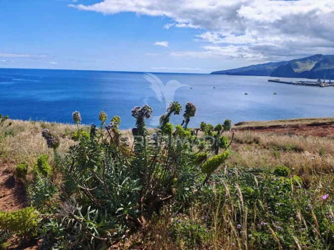 Terreno para Venda em Caniçal