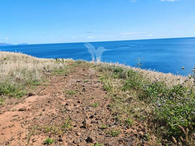 Terreno para Venda em Caniçal Foto 7
