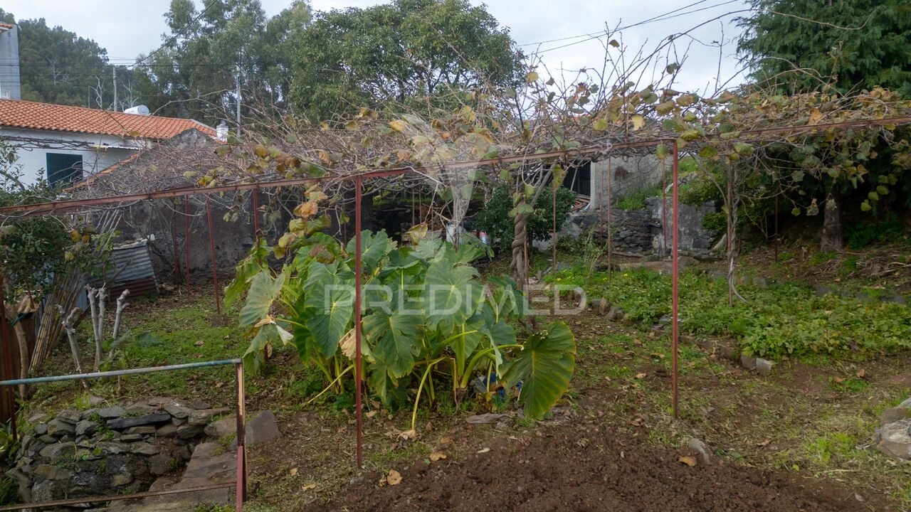 Terreno para Venda em Caniço Foto 29