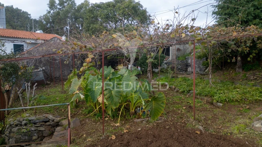 Terreno para Venda em Caniço Foto 29