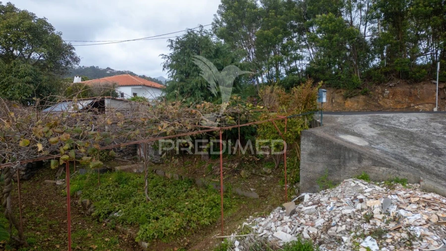 Terreno para Venda em Caniço Foto 31