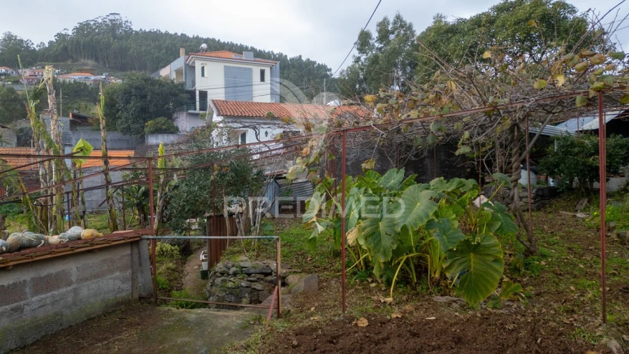 Terreno para Venda em Caniço Foto 30
