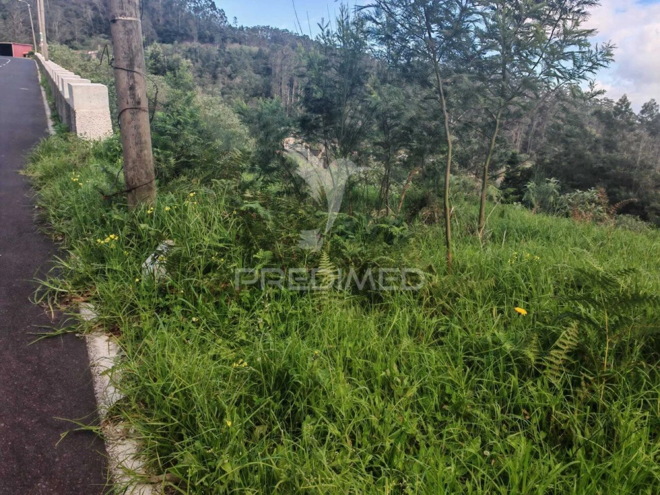Terreno para Venda em Santo Antonio da Serra Foto 10