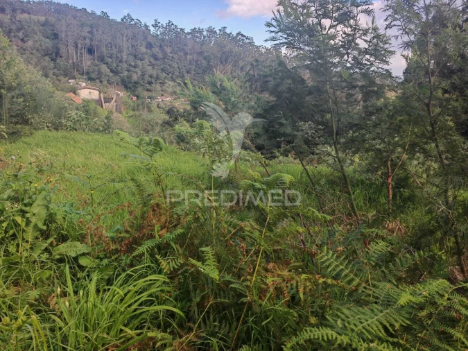 Terreno para Venda em Santo Antonio da Serra Foto 3