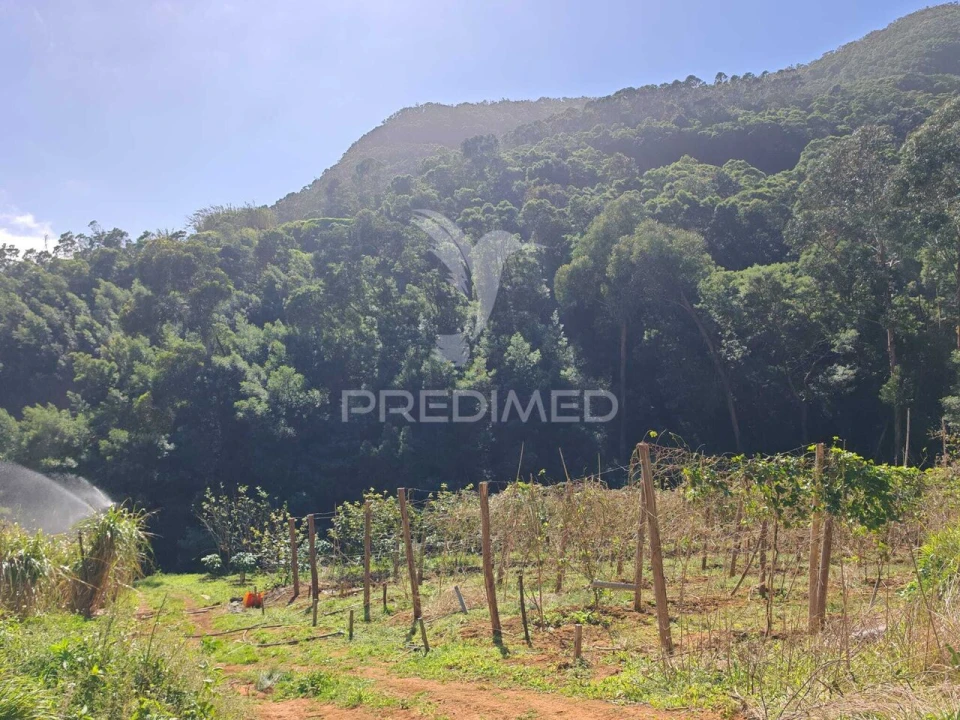 Terreno para Venda em Caniçal Foto 17