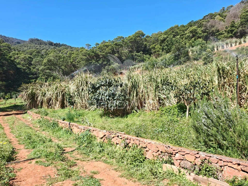 Terreno para Venda em Caniçal Foto 28