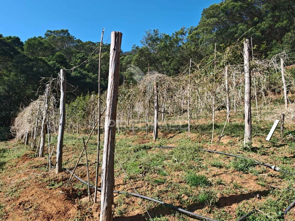 Terreno para Venda em Caniçal Foto 25
