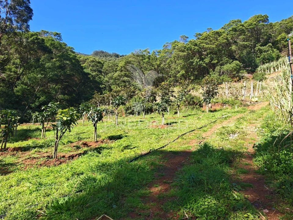 Terreno para Venda em Caniçal Foto 1