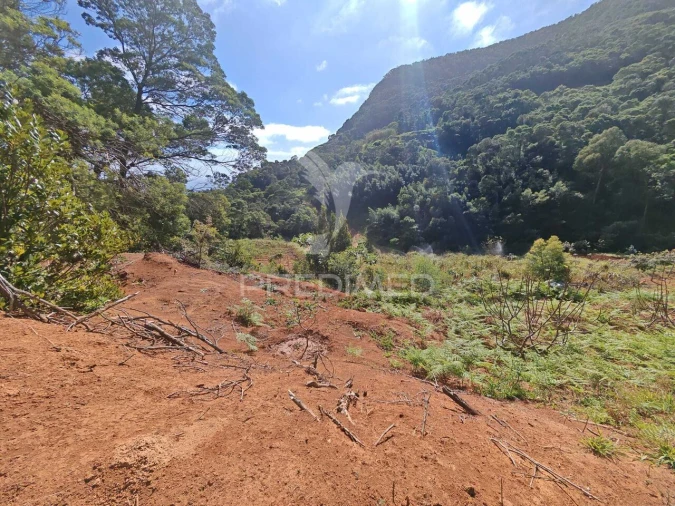 Terreno para Venda em Caniçal Foto 6