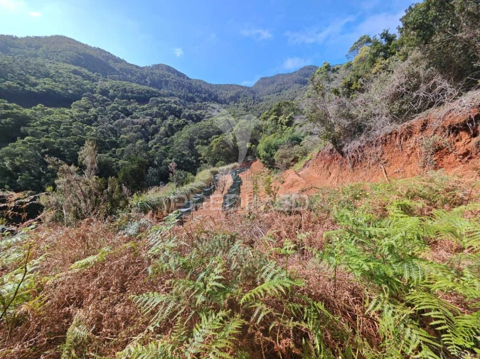 Terreno para Venda em Caniçal Foto 12