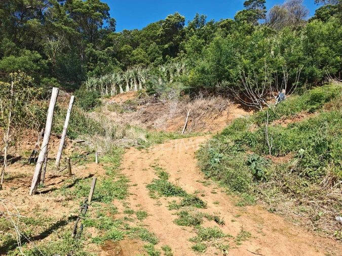 Terreno para Venda em Caniçal Foto 22