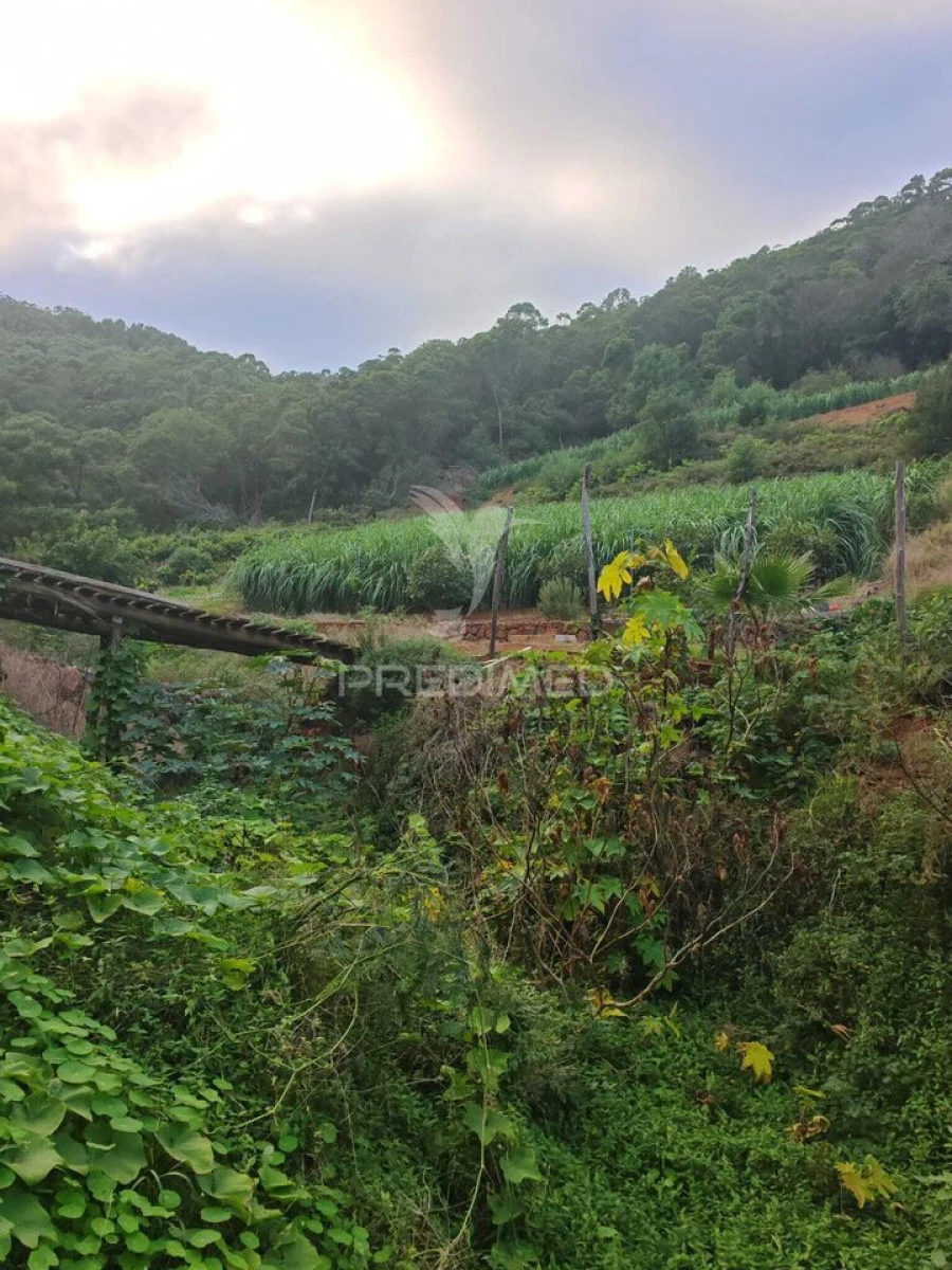 Terreno para Venda em Caniçal Foto 29