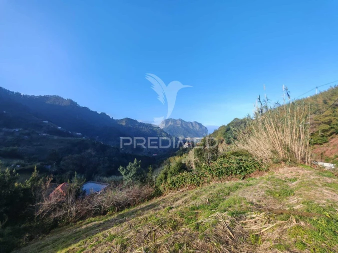 Terreno para Venda em Porto da Cruz Foto 4