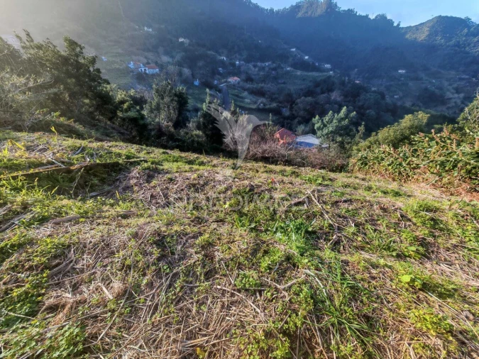 Terreno para Venda em Porto da Cruz Foto 8
