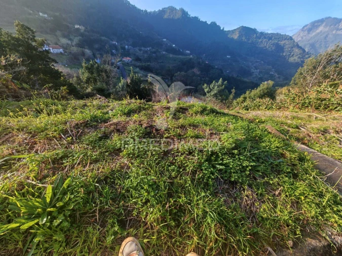 Terreno para Venda em Porto da Cruz Foto 6