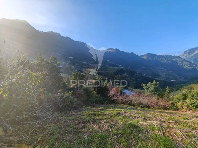 Terreno para Venda em Porto da Cruz Foto 2