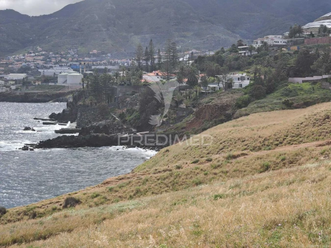 Terreno para Venda em Caniçal Foto 3