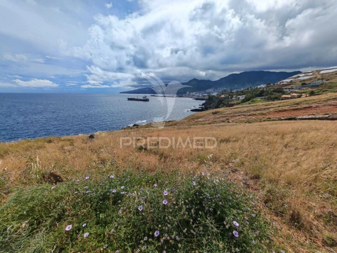 Terreno para Venda em Caniçal Foto 1