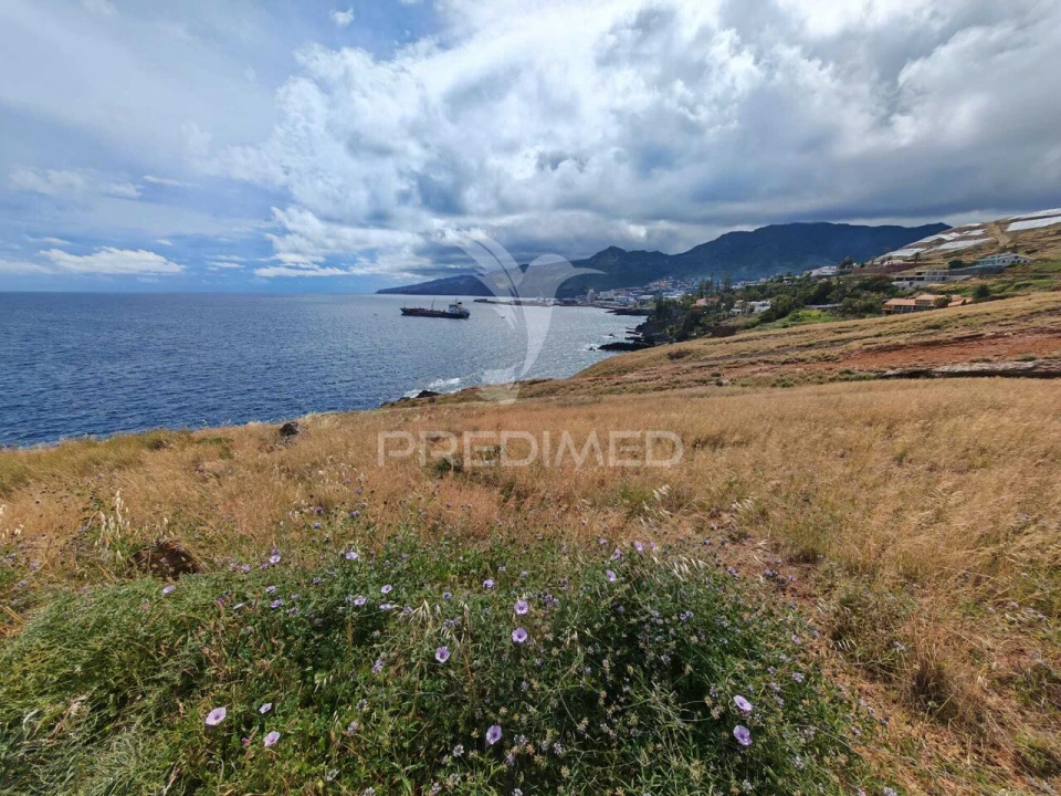 Terreno para Venda em Caniçal Foto 1