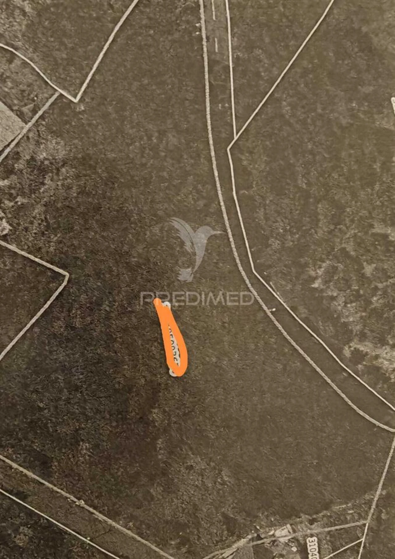 Terreno para Venda em Santo Antonio da Serra Foto 21