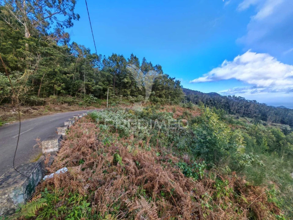 Terreno para Venda em Santo Antonio da Serra Foto 16