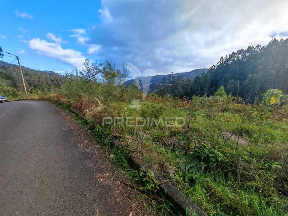 Terreno para Venda em Santo Antonio da Serra Foto 14