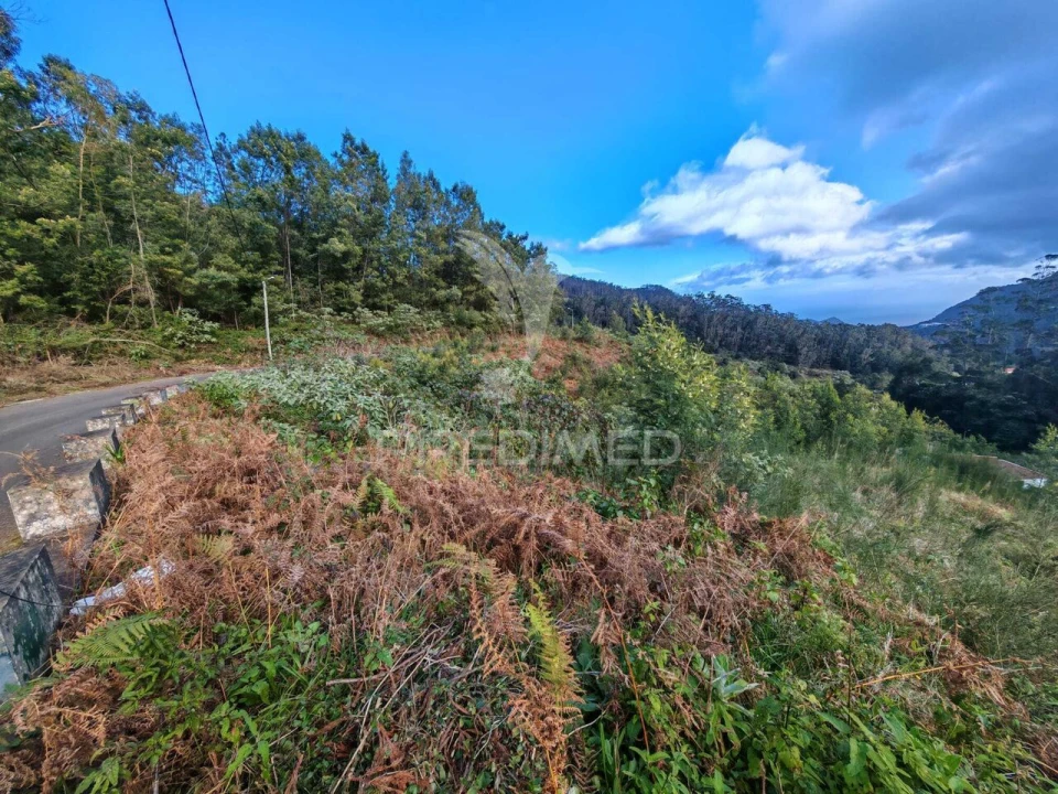 Terreno para Venda em Santo Antonio da Serra Foto 18