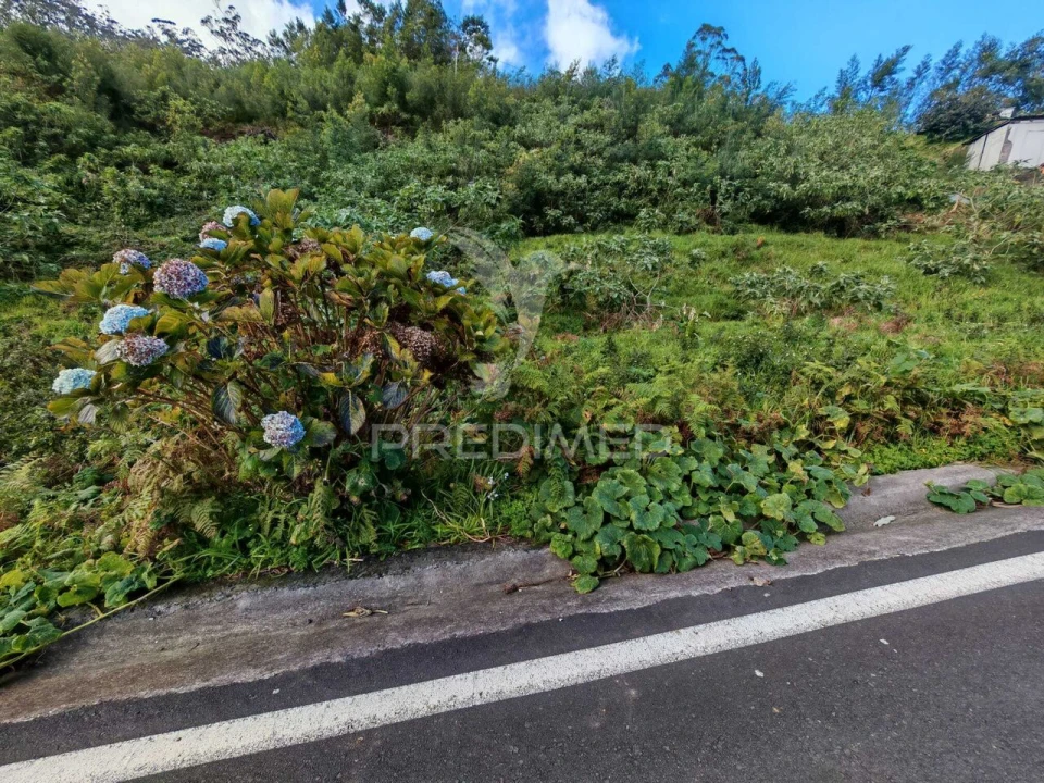 Terreno para Venda em Santo Antonio da Serra Foto 7