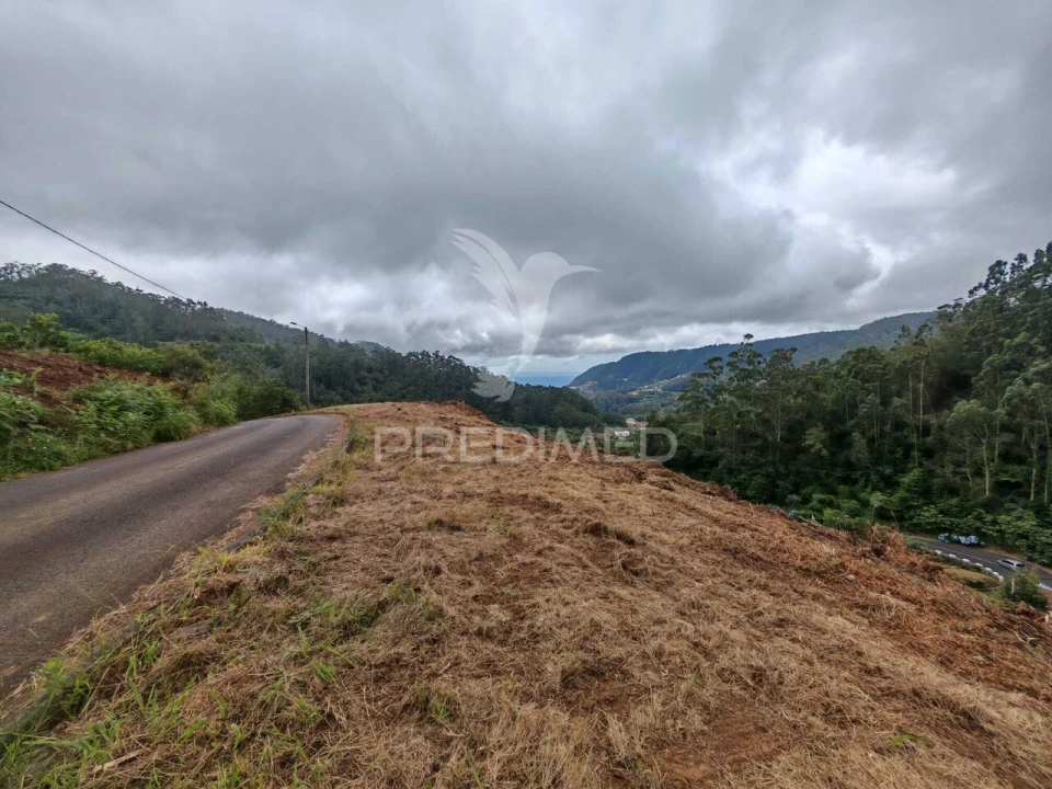 Terreno para Venda em Santo Antonio da Serra Foto 21