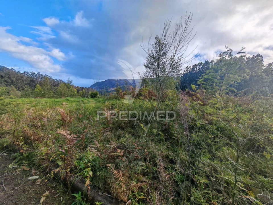 Terreno para Venda em Santo Antonio da Serra Foto 12