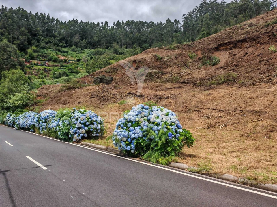 Terreno para Venda em Santo Antonio da Serra Foto 4