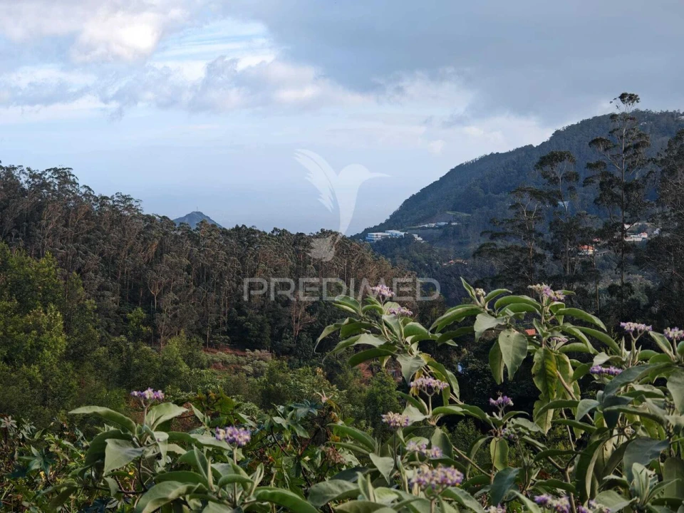 Terreno para Venda em Santo Antonio da Serra Foto 15